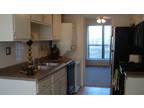 $989 / 2br - 1200ft² - ""Back To School Special"" (East End) (map) 2br bedroom