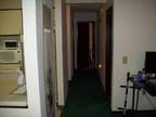 $460 / 1br - 916ft² - Master Bdrm avail. Feb 1 (Duluth (park point)) 1br