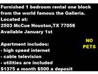 $1375 / 1br - 800ft² - ★★★Furnished 1 bedroom rental-1 month