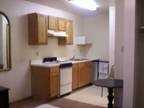 Studio-ALL UTILITIES PAID!!! FURNISHED, NO LEASE in Branson (Branson/close to