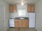 Newly Remodeled Studio-Close to SIU! (510 S Hays, Carbondale)