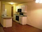 $517 / 1br - 800ft² - Special Deal One Week Only !!! (Republic) 1br bedroom