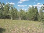 Property for sale in Cripple Creek, CO for