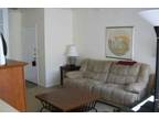 $900 / 1br - 800ft² - Available mid March - Wonderful 1 Bdrm Condo (James