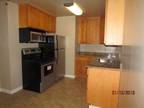 $1650 / 1br - San Benito- New paint/carpet, One Carport Space and Large
