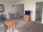 556ft² - Furnished Studio Apt. Includes Utilities and Maid Service