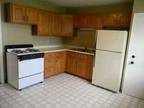 $700 / 1br - Large remodeled apt *Heat Included* (West Duluth) 1br bedroom