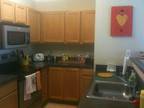 $779 / 1br - 525ft² - Summer Perfect One Bedroom Apt @ Campus Court