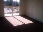 $405 / 1br - newly remodeled, coin laundry, parking, close to shops, stores