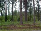 Prime wooded building lot