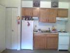 $495 / 1br - SUBLEASE FOR SPRING SEMESTER (10 MINUTE WALK FROM CAMPUS!) (406 E