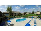 $999 / 3br - 1330ft² - P-leasing apartments offered! Stop in and let us WOW
