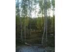 $795 / 1br - Small houses on lake (taking applications) (Wasilla) (map) 1br