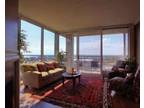 $900 / 2br - Lucky Apartments Penthouse 11th floor! (Madison - UW campus) 2br