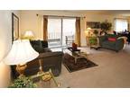 Amazing Apartments Located in Ithaca w/ MOVE IN SPECIALS!