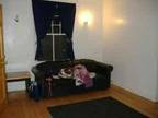 Nice Studio for Rent/Short stay possible (Lark Street Area/Empire Plaza) (map)