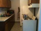 $585 / 1br - Quiet one-bedroom near NIU campus (Dekalb) 1br bedroom