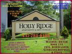 $495 / 2br - 900ft² - Great 2 Bedrooms-Low Price! (Holly Ridge Apartments)