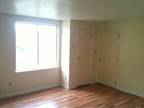 $550 / 1br - 1 Bath Newly Renovated Apartment (Owego, NY) 1br bedroom