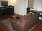 Beautiful apt, fully furnished, doorman, gym, pool, May 1st (Rittenhouse Square)