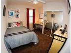 $914 / 1br - 1x1 Sublease available NOW-August (The Edge, UCF) 1br bedroom