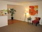 $825 / 1br - 744ft² - NOT WANTING TO LIVE WITH ROOMMATES! CHECK US OUT!!