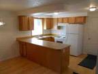 $1100 / 3br - Newly Remodeled Home ( S Bertelsen Eugene) (map) 3br bedroom