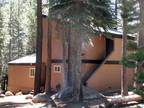 Bear Valley Cabin for Rent