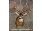 Ohio Hunting Lodge Private Deer & Turkey Hunts Luxury cabin lodging