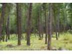Great Investment! Private treed homesite near trails in Methow Valley!