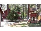 $99 / 1br - 1100ft² - BIG BEAR FURNISHED CABIN FOR DAILY RENT, CUTE AND PRIVATE