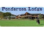 $540 / 2br - 1200ft² - COUNTRY LODGE ON HORSE RANCH
