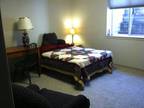 $850 / 1br - 300ft² - Attractive Bed & Bath Basement Suite.