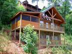 $99 / 1br - SEPTEMBER SPECIAL Luxury Log Cabin "Bears Treehouse" in Smoky Mtns