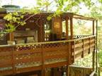 $100 / 2br - 800ft² - Grove Park....Pets Welcome...Winter views (Asheville)