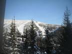 $875 / 4br - Fully furnished condo for rent (Schweitzer Mtn.