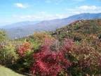 $55 / 1br - $45 to $55 Per Night "Heaven Sent Condo" Sleeps 4 (Gatlinburg