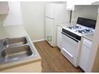 STUDIO with Gas Cooking, Big Closet Space, Patio! (www.AustinApartmentService...