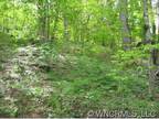 Great price! Great lot! wooded setting with easy access