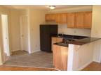 $750 / 1br - Bright and Open 1 Bdrm Near Delaware Park! Includes Heat!