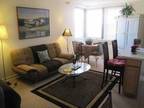 $1600 / 1br - Wonderful apt, fully furnished, doorman, gym