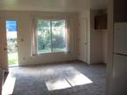 LARGE STUDIO FOR RENT (SPRINGFIELD) (map)