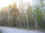 Beautifully wooded and scenic acreage!