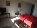 $2700 / 1br - 850ft² - Gorgeous 1br & 1 bath, fully furnished, doorman, pool