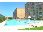 $85 / 1br - south padre island vacation beach condo