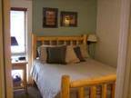 $110 / 1br - Seventh Mountain Ski Den (West Bend) 1br bedroom