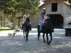 Farm Retreat - Horseback riding (Near Nashville) (map)