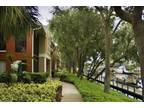 Island Walk Apartment Homes, Great Location in NW Tampa