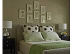 $500 / 2br - Brand New Renovations (1320 Piney Grove Rd) 2br bedroom