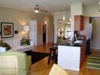 $2450 / 2br - 1201ft² - Furnished 2 bedroom Luxery Apartment (Rice Village/Med